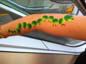 caterpiller Face Painting at Gold Coast and Surfers Paradise